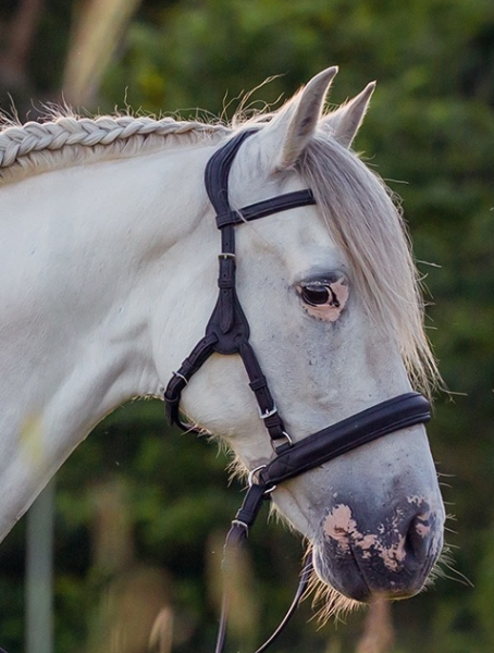 VegiTex Contour Physio